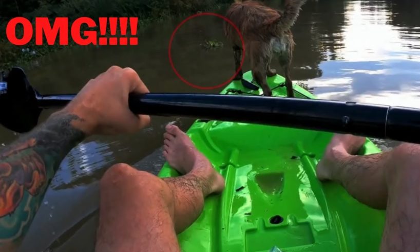 6 Crocodile Encounters You Should Avoid Watching (Part 1) OMG!!!!!