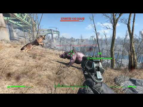 FALLOUT 4 - ALL ANIMAL FIGHTS - PART 1!!!