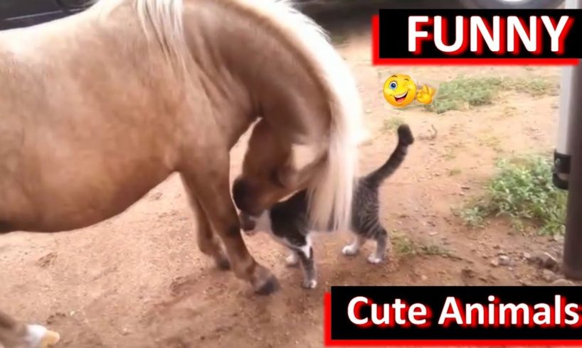 Funny Horses playing with Cute Animals [Lovely😚]