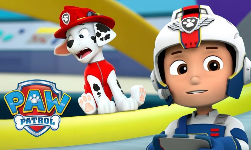 Mini Marshall and the Marooned Mayors! ? PAW Patrol Cartoon Compilation 63 PAW Patrol & Friends