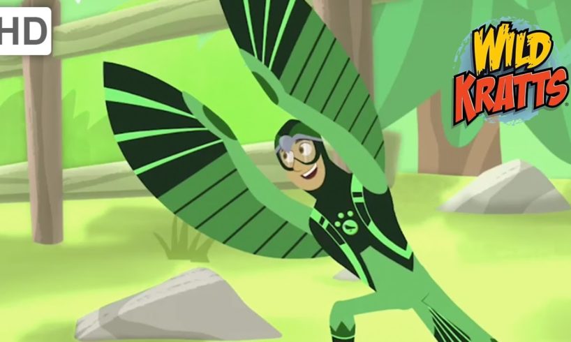 Wild Kratts - Creature Rescue Mission | Kids Videos