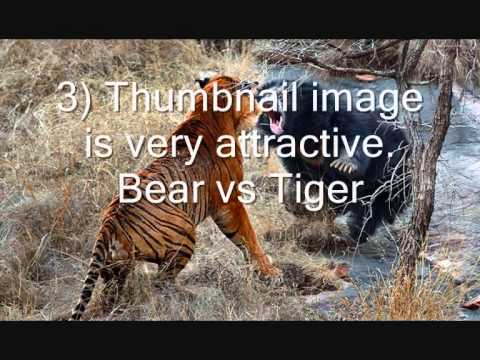 why "Biggest wild animal fights" has so many views??