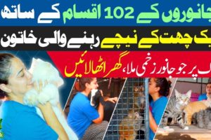 Animal Rescue in Pakistan: Meet Anila who is living with 102 animals in her house, that she rescued