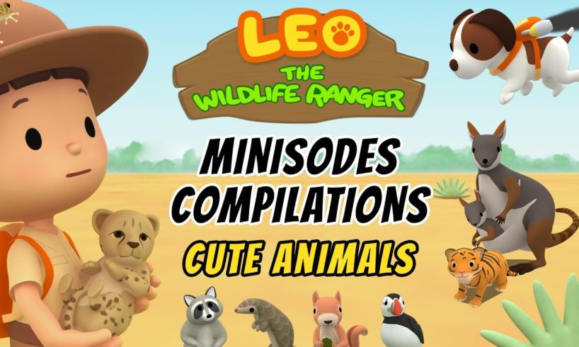 Cute Animals Minisode Compilation - Leo the Wildlife Ranger | Animation | For Kids