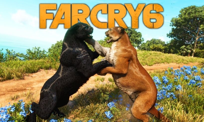 Far Cry 6 Animal Fights