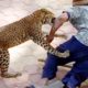 OMG ! Amazing Wild Animals Attacks - Leopard Attacks Human | Wild Animal Fights Caught On Camera