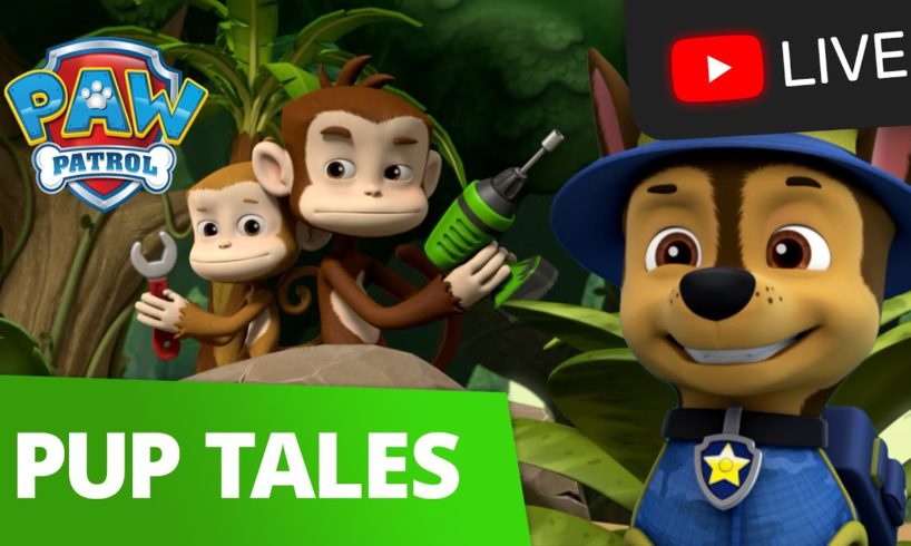 🔴 PAW Patrol Season 7 Moto Pups, Dino Rescue, Mighty Pups and MORE! 24/7 Pup Tales Episodes