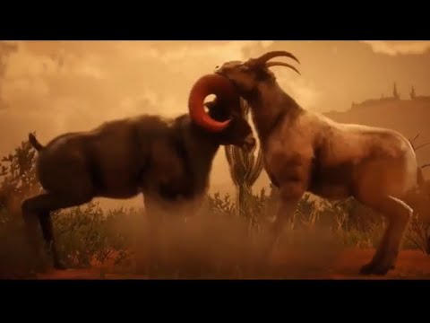 RED DEAD REDEMPTION 2 - KILLING ALL LEGENDARY ANIMALS /ALL ANIMAL FIGHTS PART 4!!!!