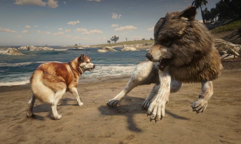 Red Dead Redemption 2 Animal Fights