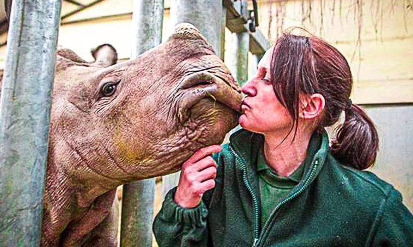 Rhino Calf Has The Time Of Her Life Playing With Zookeeper, goes viral