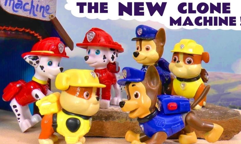 Toy Paw Patrol Ryder Rescue Story with Paw Patrol Toys