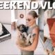 WEEKEND VLOG: redecorating my apartment, fall decor shopping, cutest puppy, etc