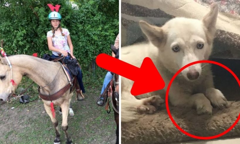 Woman Rescues Dog From Cage In Woods, Then Notices Its Legs