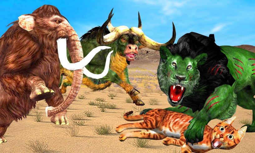 Zombie Lion Vs Mammoth Elephant Rhino Buffalo Cat Maze Animal Fight Mammoth Animal Epic Battle Video