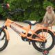 Amazing Animals, Adorable Monkey Kako Playing And Ride Bicycle