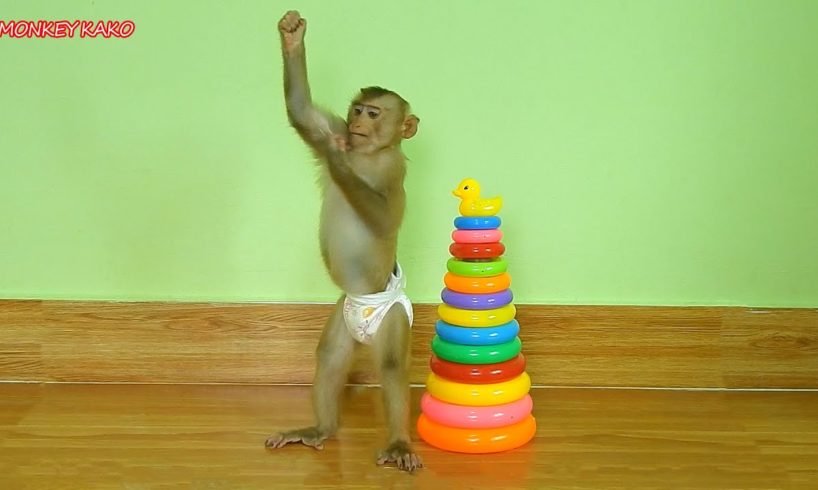 Amazing Animals, Smart Monkey Kako Standing And Play Toys