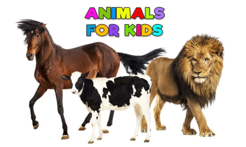 Animal sounds | Animals for kids | Learn animals | Animal name and sound