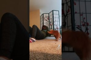 Girl Fights Her Cat Hood Fight