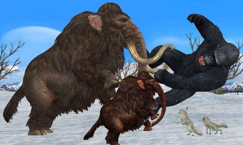 Mammoth VS Gorilla Animal Fights Gorilla attack Baby Mammoth Elephant saved by Woolly Mammoth Video