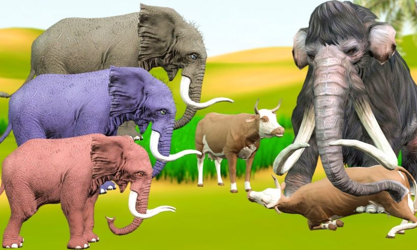 5 ELEPHANTS vs WOOLLY MAMMOTH!!! Cow Cartoon Rescue Saved By Elephant Giant Animal Fights Videos