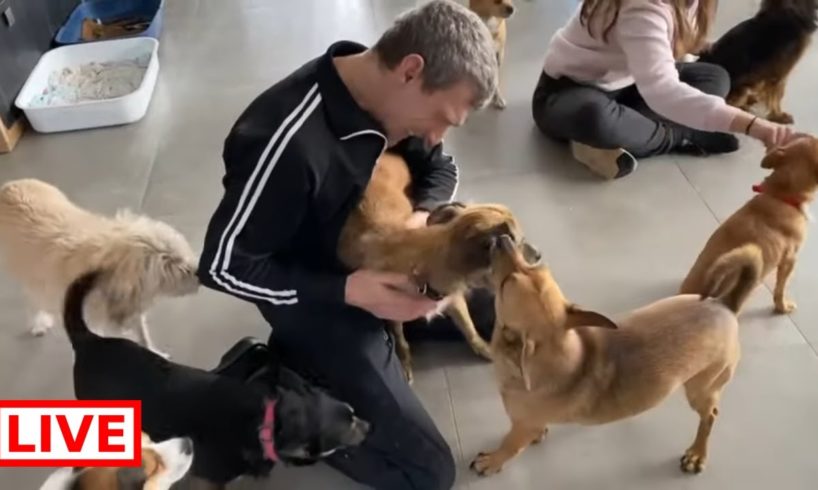 A lovely couple came from Finland to adopt a dog ! - Takis Shelter