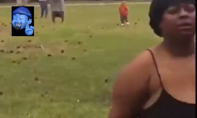 Big girl fight fight ( Must see!! ) #hoodfights #girlfight