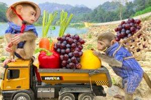 Bim Bim and his wife harvest fruit to make juice