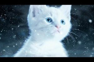 Cute Animals In Snow #cute #pets #snow #shorts