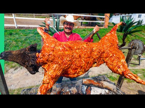 Eating Lion, Llama and Wild Boar!! Mexico's Exotic Meat Obsession!!!