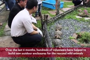 Minister of State Desmond Lee releases rescued animals