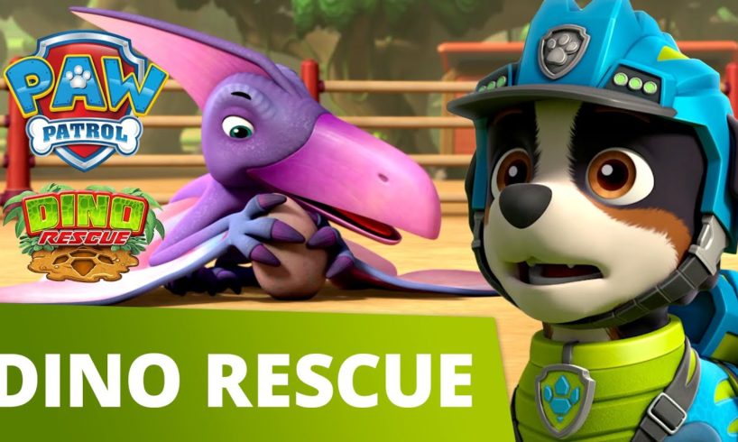 PAW Patrol Dino Rescue Mini Episode! - Pups Rescue a Dino Egg - PAW Patrol Official & Friends