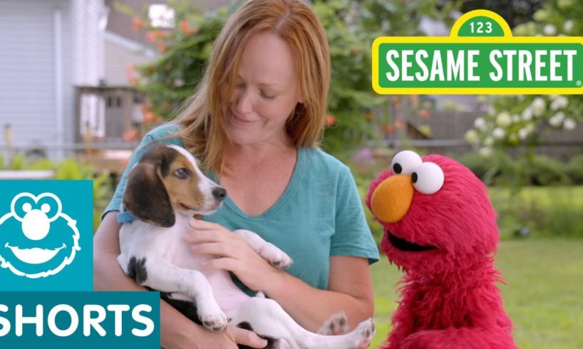 Sesame Street: Elmo Helps a Puppy Find a Home with Dodo Kids!