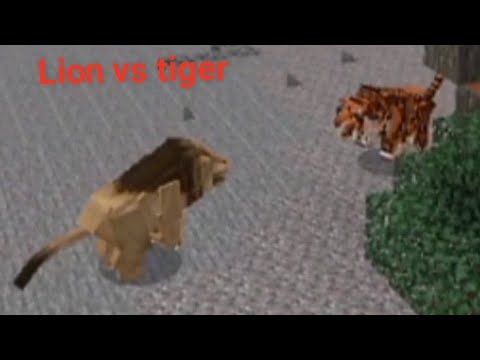 Top 10 best animal fight