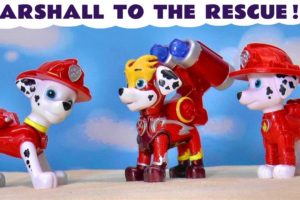 Toy Paw Patrol Marshall To The Rescue Stories