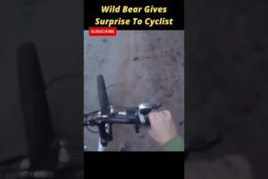 Wild Bear Gives Surprise To Cyclist | Fail Of The Week | Funny Trends #shorts