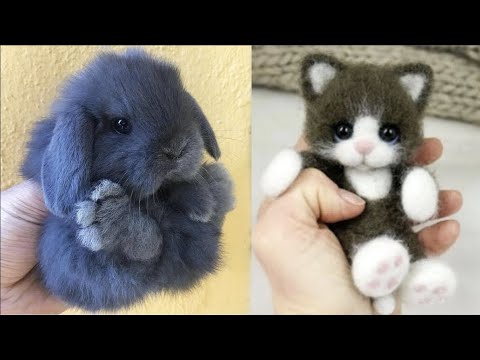 AWW SO CUTE! Cutest baby animals Videos Compilation Cute moment of the Animals - Cutest Animals #42