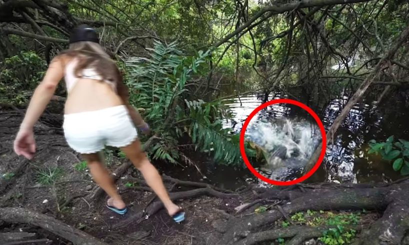 5 Crocodile Encounters You Probably Shouldn't Watch