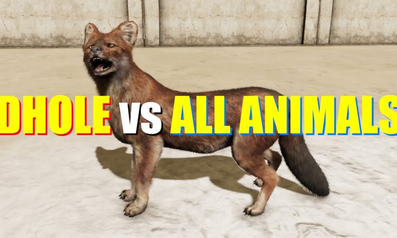 Far Cry 4 Animal Fight - Dhole vs All Animals