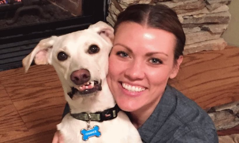 Minnesota woman adopts abused dog from Alabama. Now he's obsessed with snow.