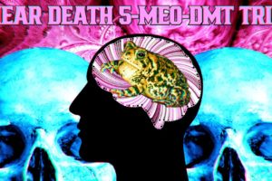 Near Death 5-MeO-DMT Experience