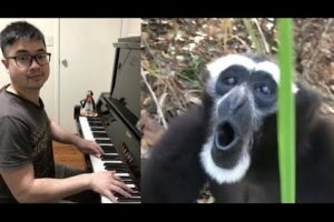 Piano Duet with a Monkey who has Amazing Vocals