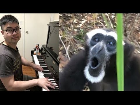 Piano Duet with a Monkey who has Amazing Vocals