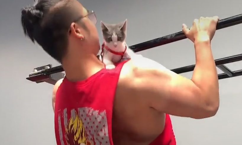 Tiny Stray Kitten Follows Guy Home And Never Leaves | The Dodo