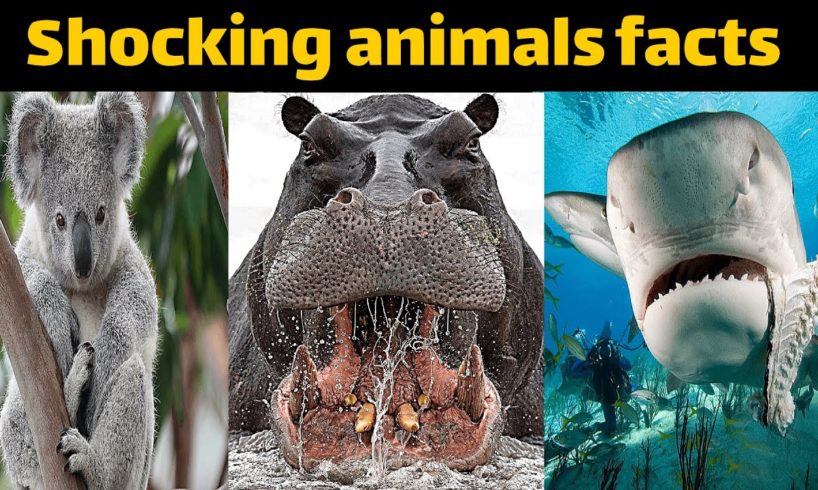 Top 10: shocking animals #facts #a2zfacts