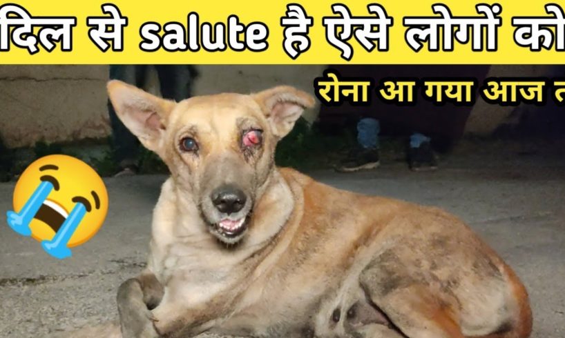 animal rescue team save a mother dog | दिल से salute है ऐसे लोगों को #shorts