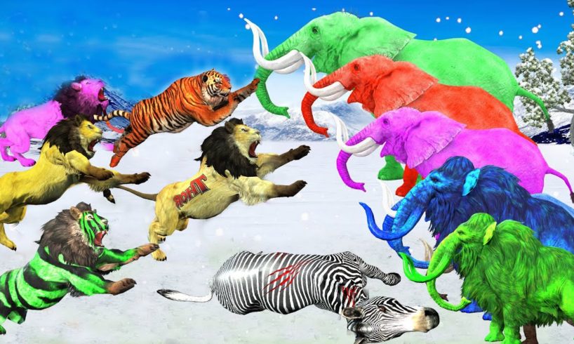 5 Lions Vs Zebra Rescue Saved By Zombie Elephant's Fight || Woolly Mammoth Vs Zombie Lions