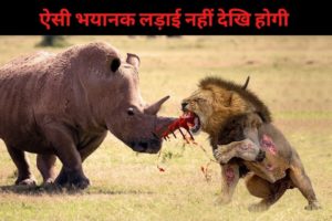 5 Rare and Extreme Fights of Wild Animals || By Awesome list hindi