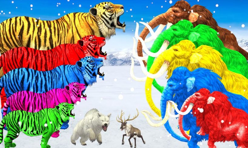 5 Woolly Mammoths Vs Tiger Animal Fight | Mammoth Elephant Save Polar Bear from Giant Tiger Attack