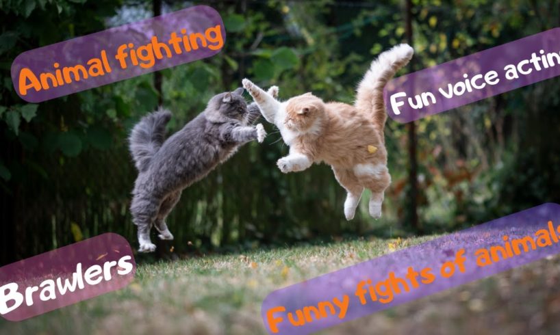 Brawlers. Funny animal fights. Funny voice acting.5м laughter! You haven't seen anything like this!