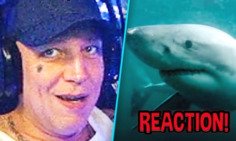 HAI-ATTACKE?😱 MontanaBlack REAGIERT auf Near Death Compilation! | MontanaBlack Reaktion